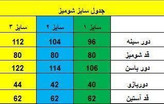 شومیزآستین گیپور